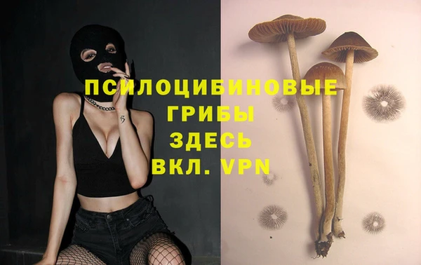 прущий лед Алзамай